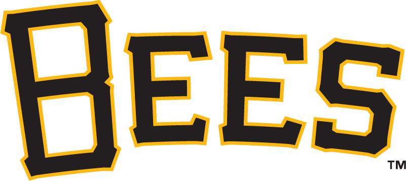 Salt Lake Bees 2006-pres wordmark logo iron on heat transfer